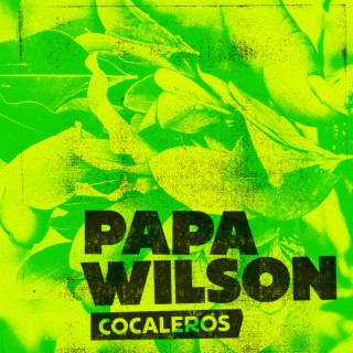 Papa Wilson