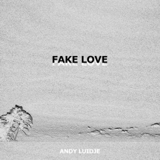 Fake Love