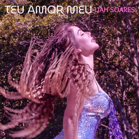 Teu Amor Meu | Boomplay Music