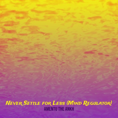 Never Settle for Less (Mind Regulator) | Boomplay Music