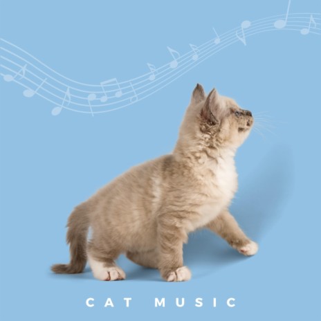Music For Lonely Cats | Boomplay Music