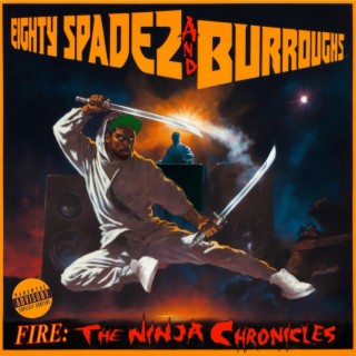 FIRE: The Ninja Chronicles