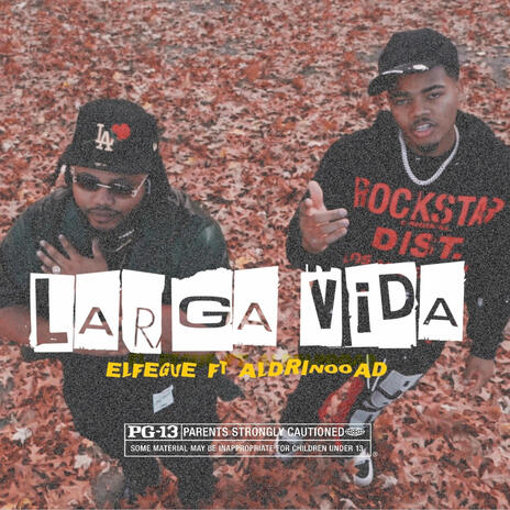 LARGA VIDA ft. Aldrinoo AD | Boomplay Music