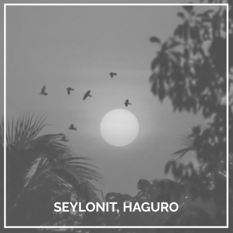 Птицы улетают на юг ft. Haguro | Boomplay Music
