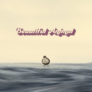 Beautiful Animal (Album Version) lyrics | Boomplay Music