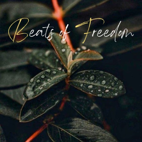 Beats of Freedom ft. Mind & Earth, Dj Ritmo & Relajacion