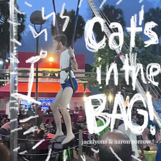 cat's in the bag!