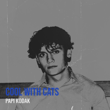 Cool With Cats | Boomplay Music