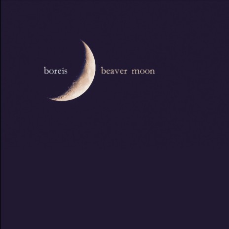 Beaver Moon | Boomplay Music