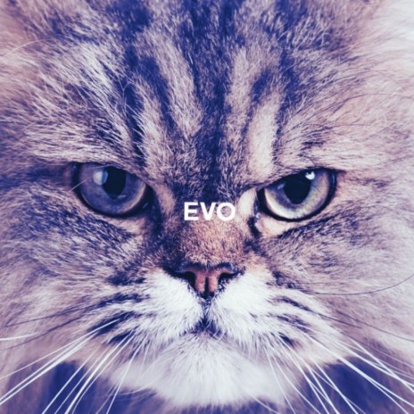 EVO | Boomplay Music