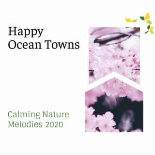 Happy Ocean Towns - Calming Nature Melodies 2020