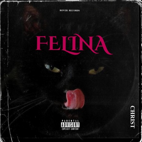 Felina | Boomplay Music