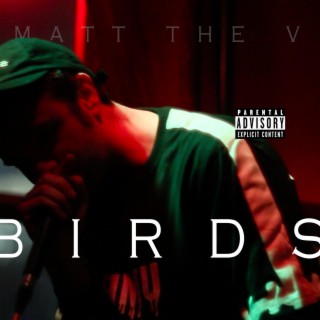 Birds lyrics | Boomplay Music