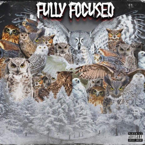 Fully Focused | Boomplay Music