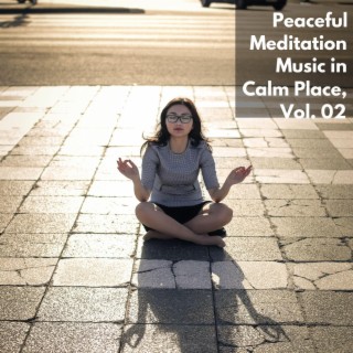 Peaceful Meditation Music in Calm Place, Vol. 02