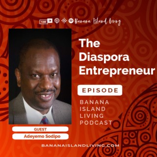 The Diaspora Entrepreneur