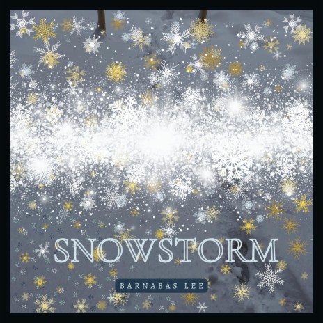 Snowstorm | Boomplay Music