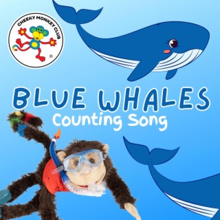 Blue Whales Counting Song lyrics | Boomplay Music