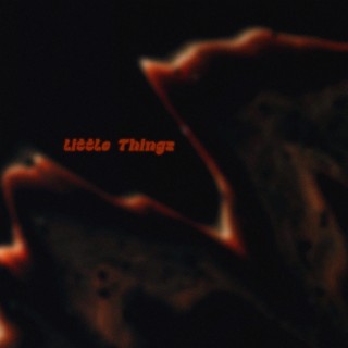 Little Thingz (Instrumental)
