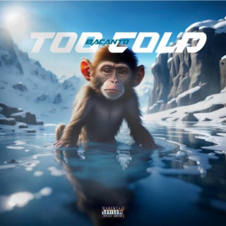 TOO COLD lyrics | Boomplay Music