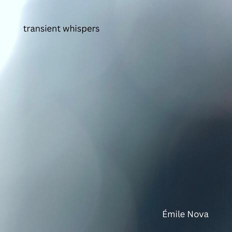 transient whispers | Boomplay Music