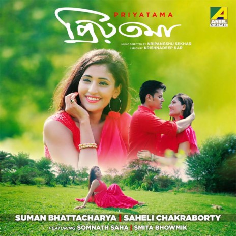 Dakhin Haowa Sudhu Tumi | Boomplay Music