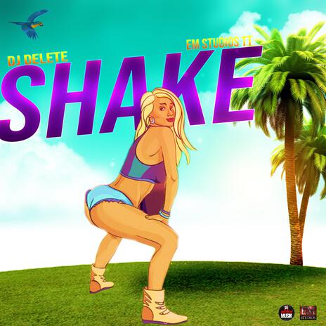 Shake (Radio Edit) | Boomplay Music