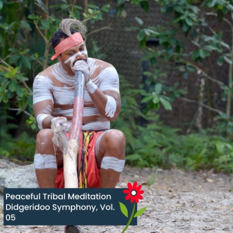 Native Australia Healing Digeridoo (Original Mix) | Boomplay Music