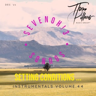 Setting Conditions ... Instrumentals, Vol. 44 (Instrumental)