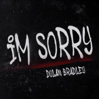 I'm Sorry lyrics | Boomplay Music