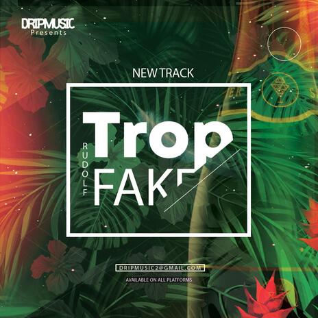 Trop Fake | Boomplay Music