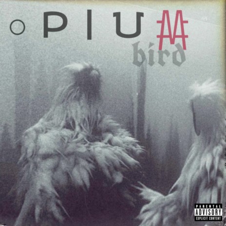 Opium Bird | Boomplay Music