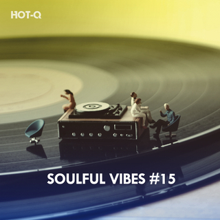 Soulful Vibes, Vol. 15