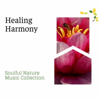 Healing Harmony - Soulful Nature Music Collection