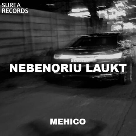 Nebenoriu Laukt | Boomplay Music