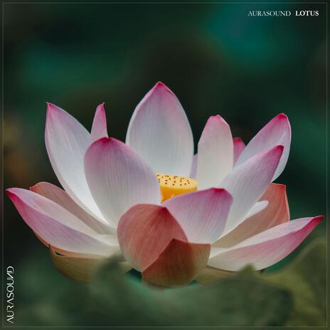 Lotus | Boomplay Music