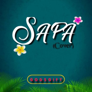 Sapa no fit catch me lyrics | Boomplay Music