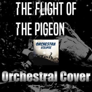 The Flight Of The Pigeon | Orchestral Cover