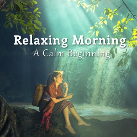 A Calm Beginning | Boomplay Music