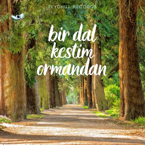 Bir Dal Kestim Ormandan | Boomplay Music