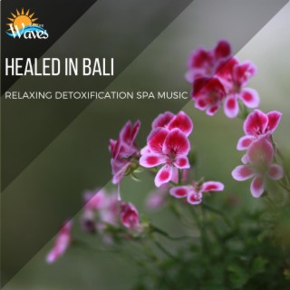 Healed in Bali - Relaxing Detoxification Spa Music