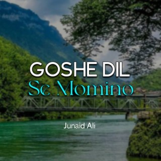 Goshe Dil Se Momino