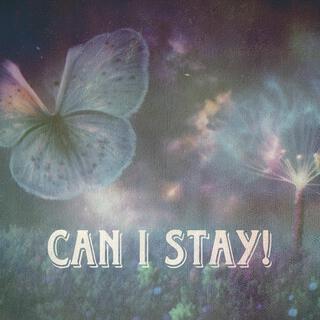 Can I Stay! lyrics | Boomplay Music