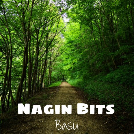 Nagin Bits | Boomplay Music