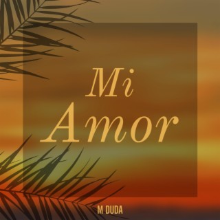 Mi Amor lyrics | Boomplay Music