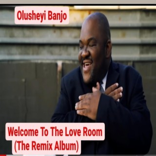Welcome To The Love Room (The Remix Album)