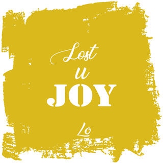 Lost U Joy (Radio Edit) lyrics | Boomplay Music