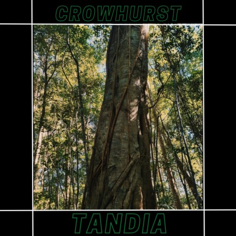 Tandia | Boomplay Music