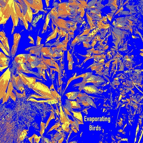 Evaporating Birds | Boomplay Music