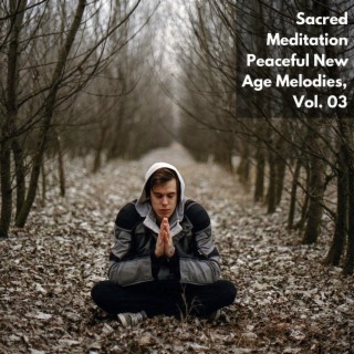 Sacred Meditation Peaceful New Age Melodies, Vol. 03